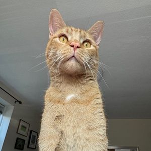 Meet your Posher, Sara